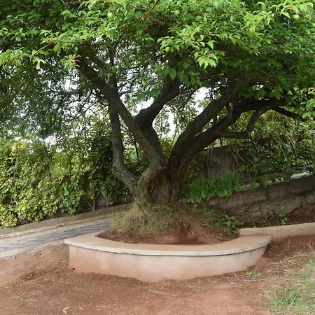 Finca La Jaraca Alloggio per agriturismo *