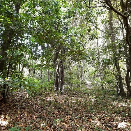 Farma Finca La Jaraca *