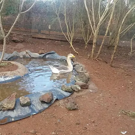 Finca La Jaraca Bauernhof Tacoronte