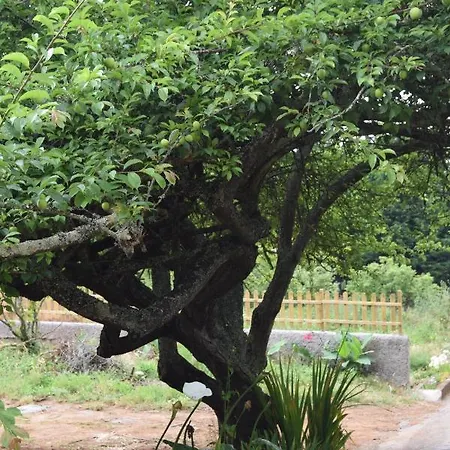 Finca La Jaraca Bauernhof *